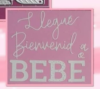 Die Cut Bienvenido Bebé