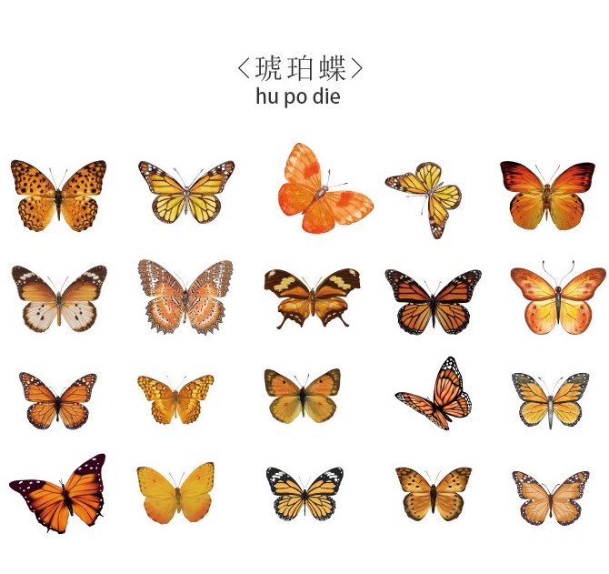 Mariposas Pet